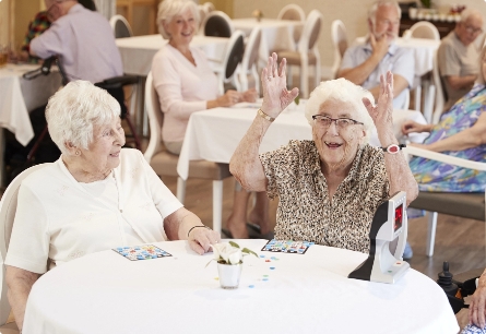 Seniors Social Groups